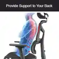Provide Support to Your Back