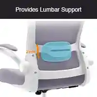 Lumbar support