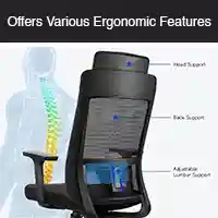 Offers various ergonomic features