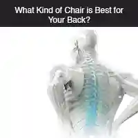What Kind of Chair is Best for Your Back