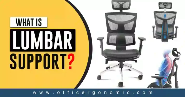 What is Lumbar Support? 