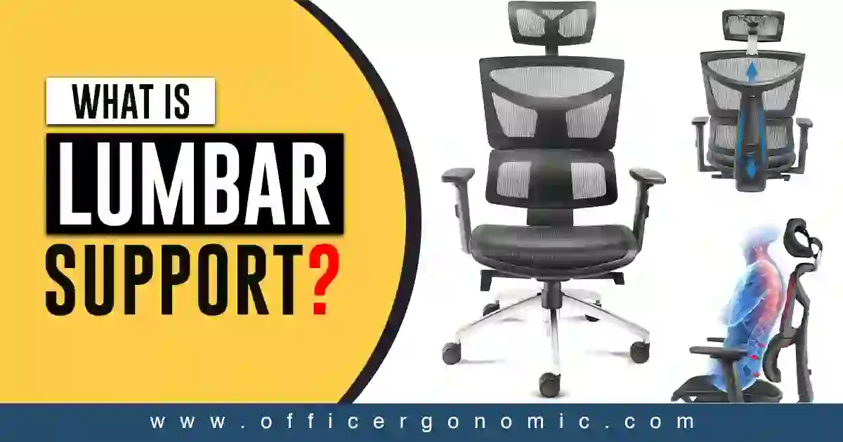 What is Lumbar Support