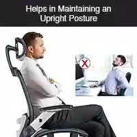 maintaining upright posture