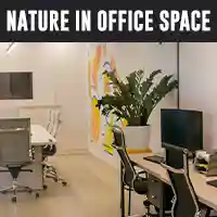 Nature into Your Office Space