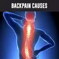 What Actually Causes Back Pain and Incorrect Sitting Posture 