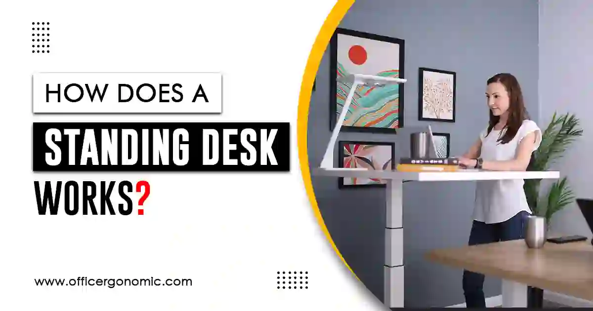 How does a Standing Desk Work