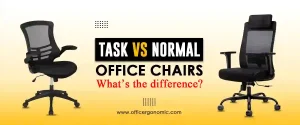 Task Chair vs Office Chairs