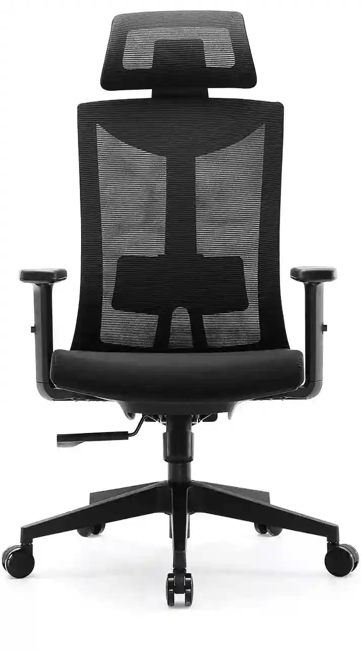 Best Overall Ergonomic Chair