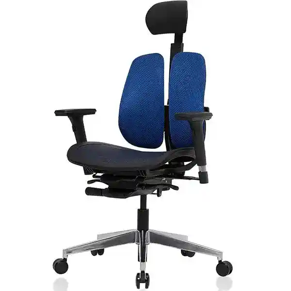 Duorest - Best Office Chair for Lower Back Pain