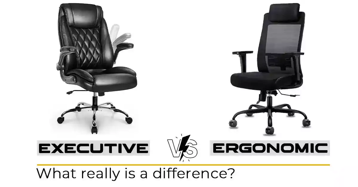 Executive Chair vs Ergonomic Chair