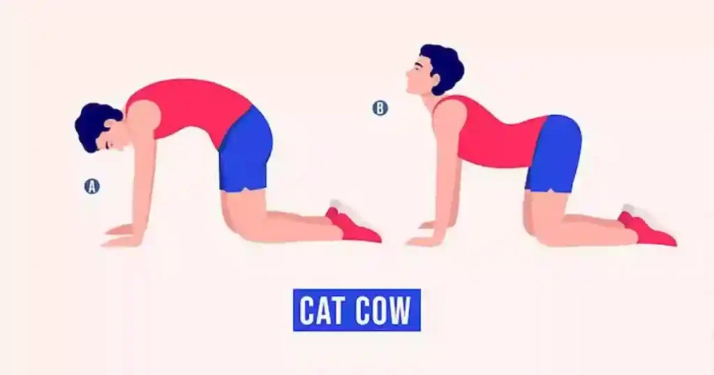 cat-cow exercise for si joint pain