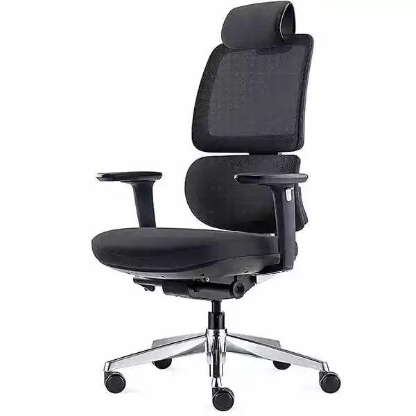 ALFA Furnishing Ergonomic Office Chair