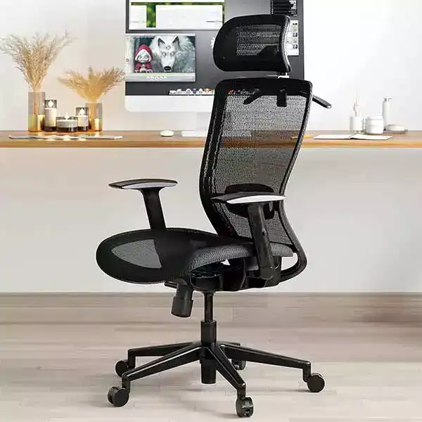 FLEXISPOT High Back Ergonomic Office Chair