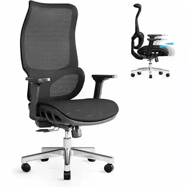 JOYFLY Ergonomic Office Chair, Mesh Home Office Chair with Dynamic Seat & Lumbar Support, Wide Task Office Chairs for Heavy People