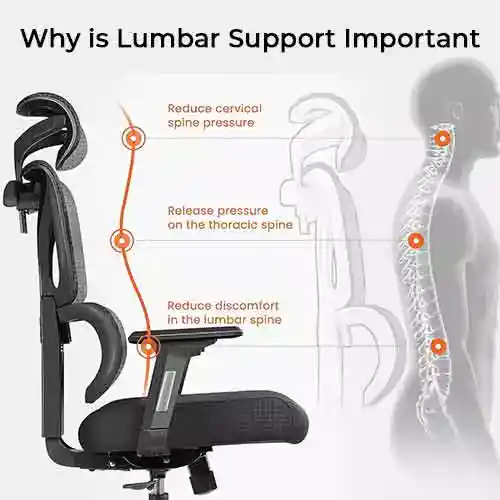 Why is Lumbar Support Important